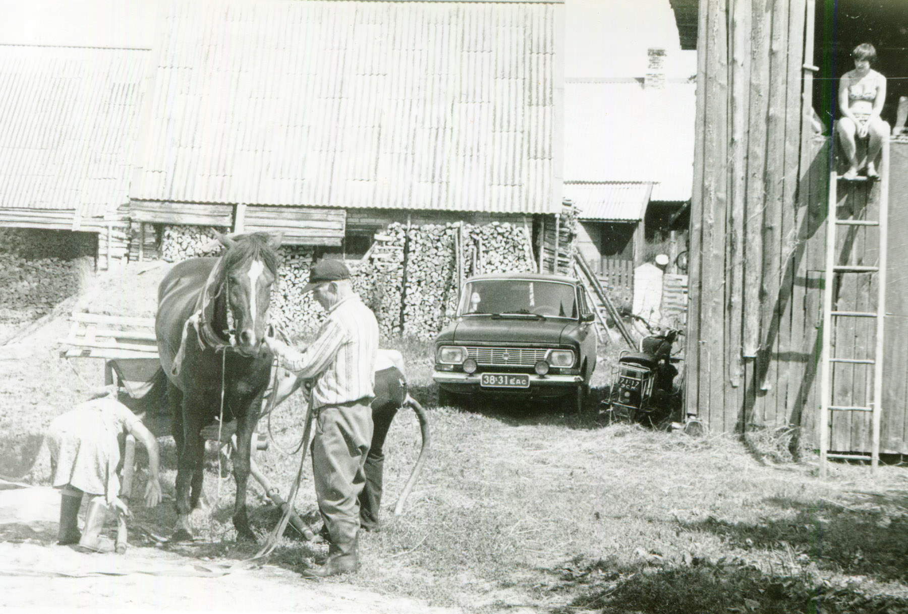 Valitud foto