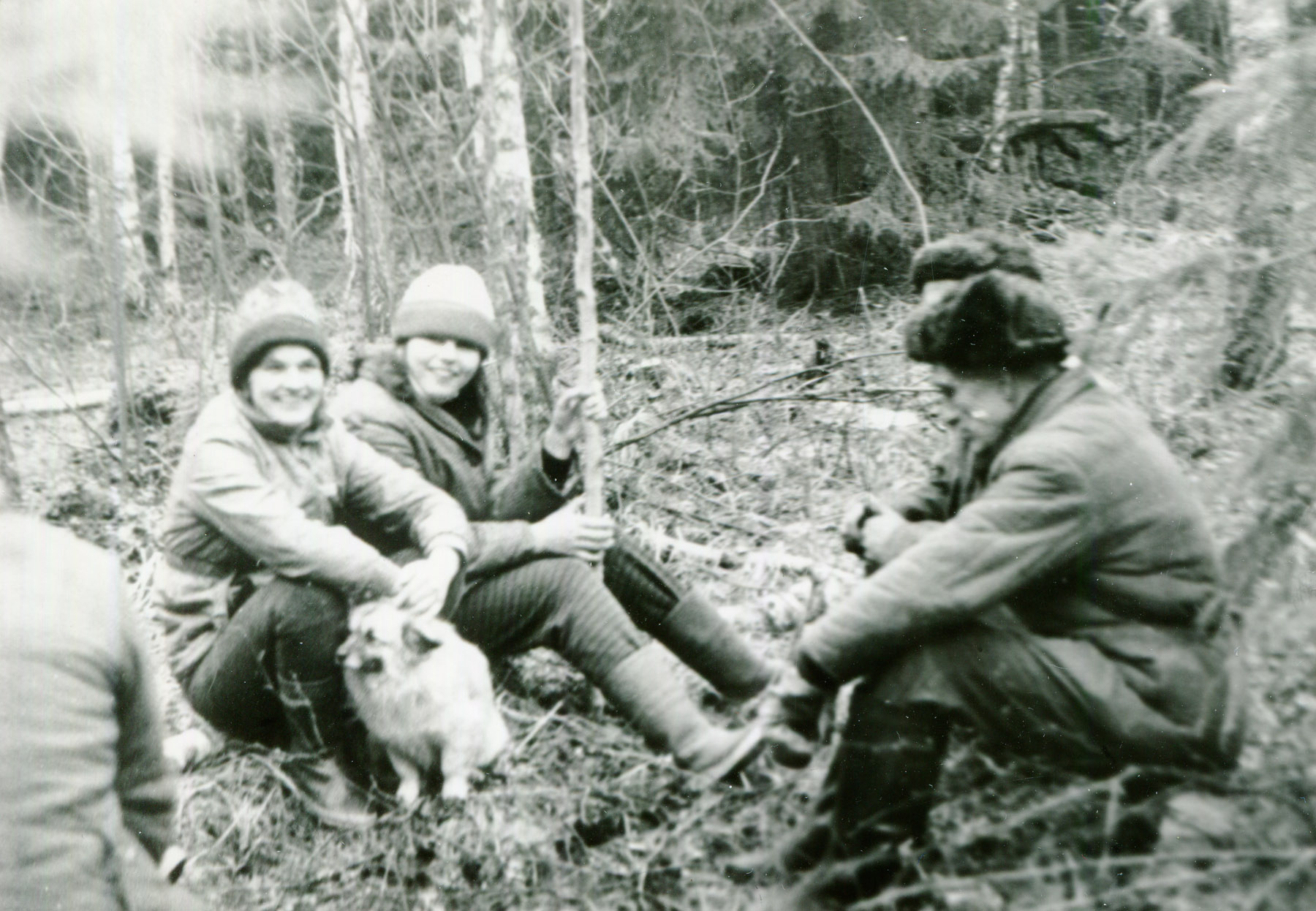 Valitud foto