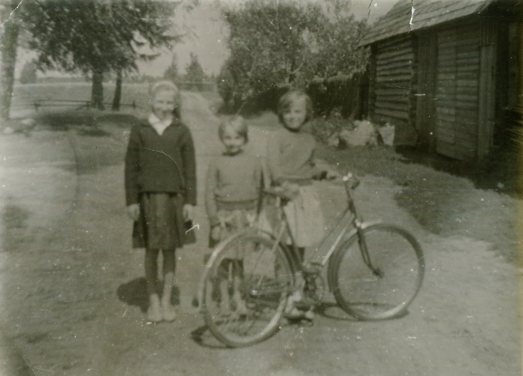 Valitud foto
