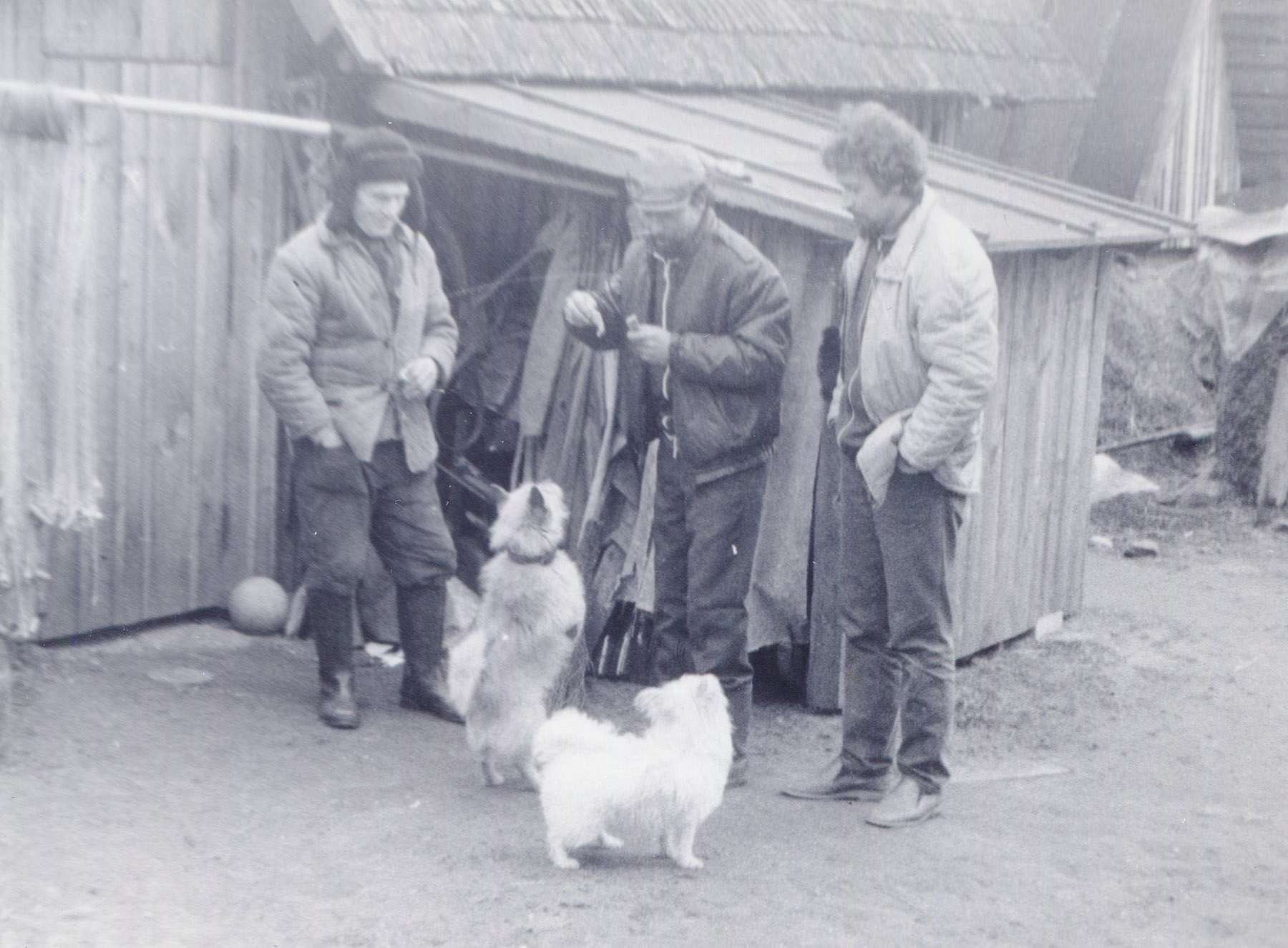Valitud foto