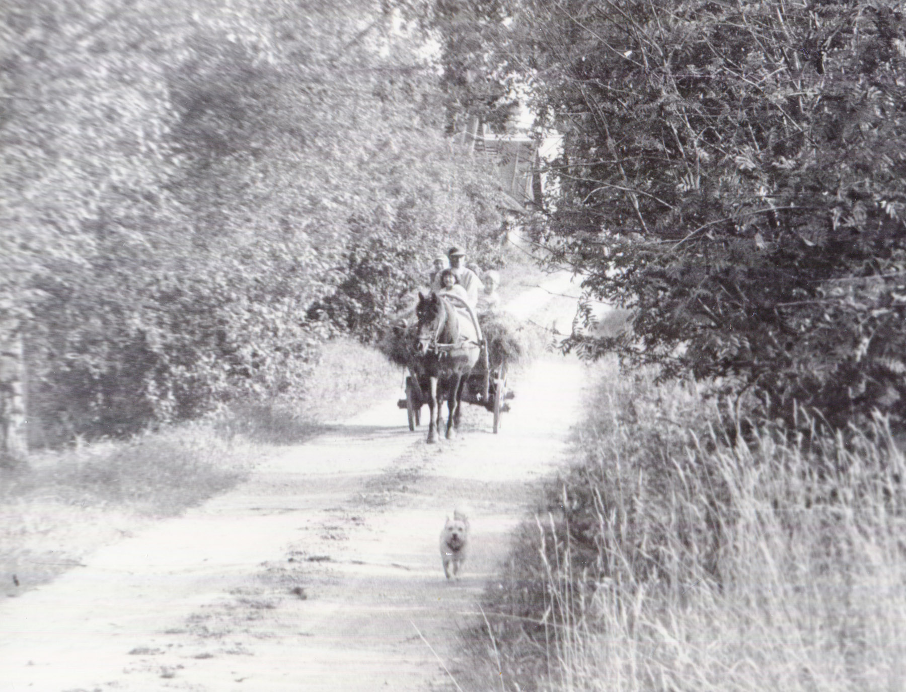 Valitud foto