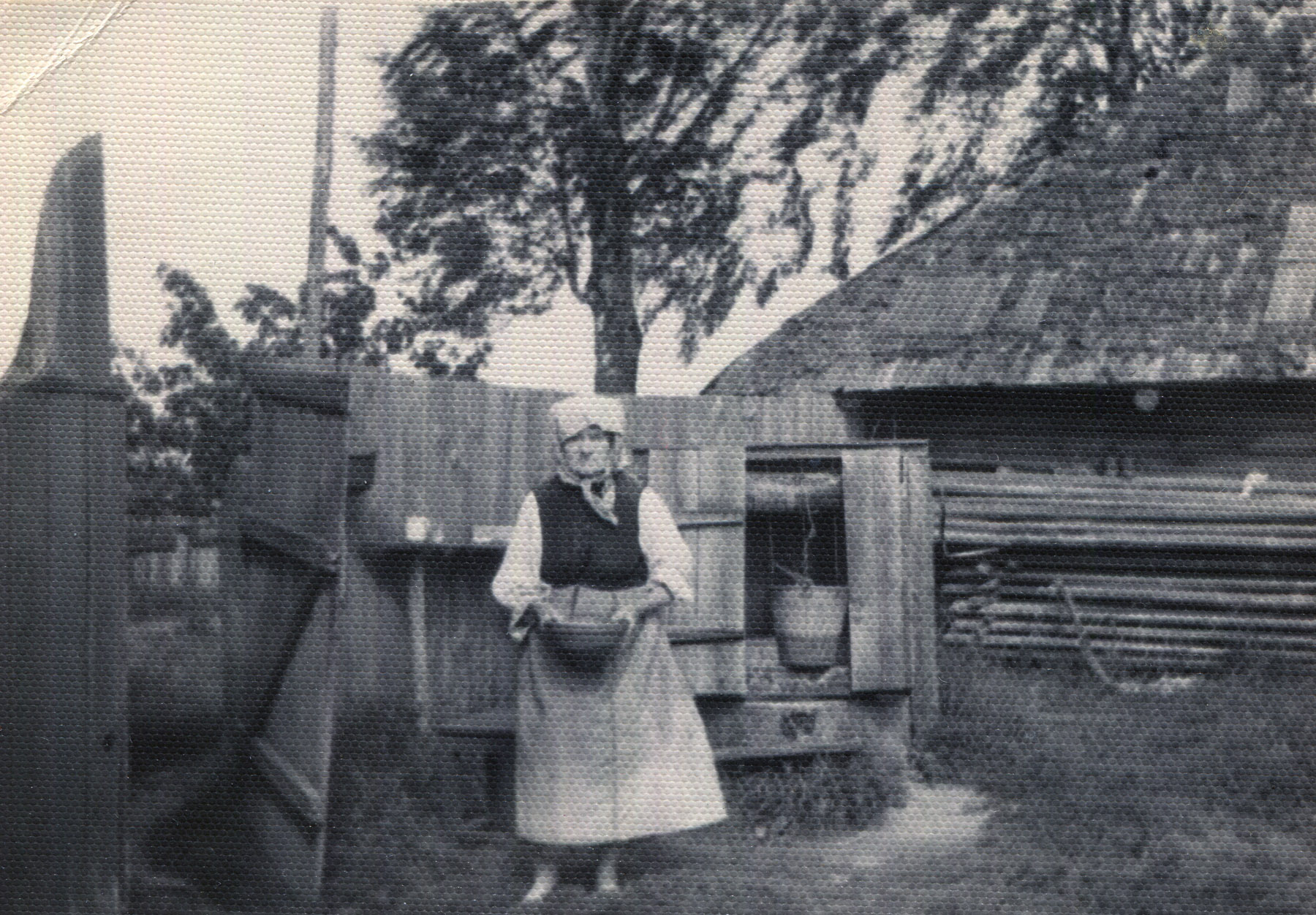 Aksenja Pedastik (01.02.1884 - 18.01.2071), pilt tehtud juuli 1964