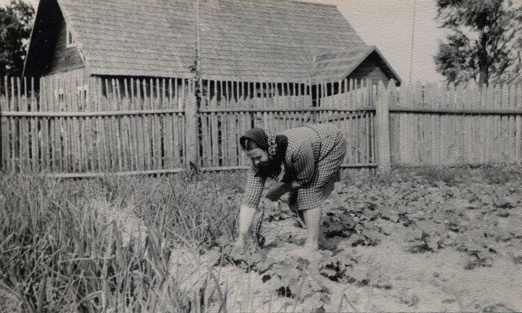 Valitud foto