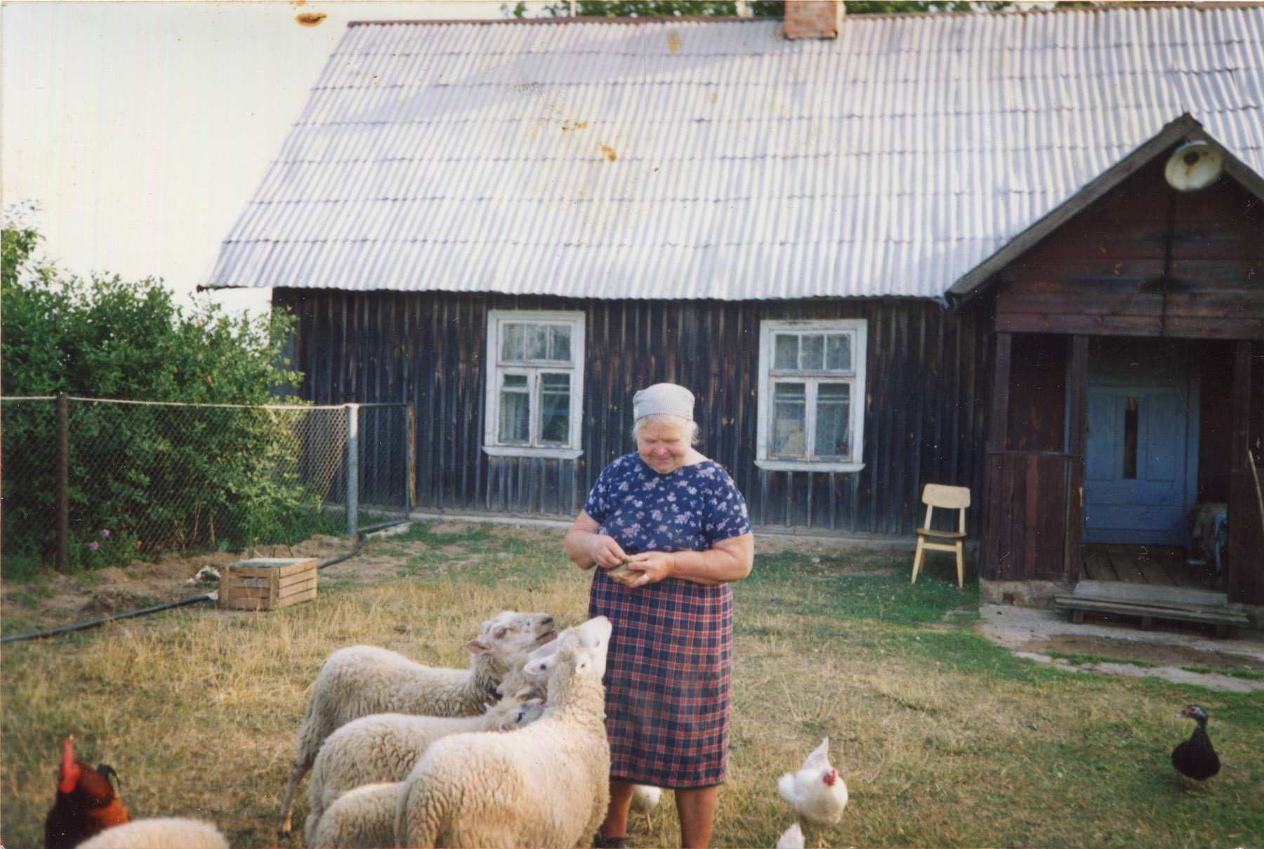 Valitud foto